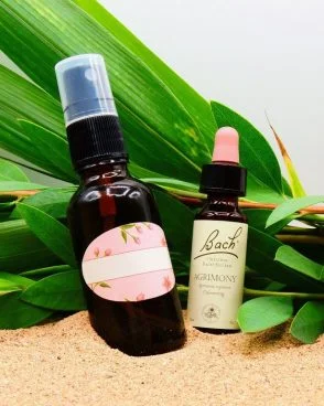 Agrimony / Aigremoine (Fleur de Bach N°1)