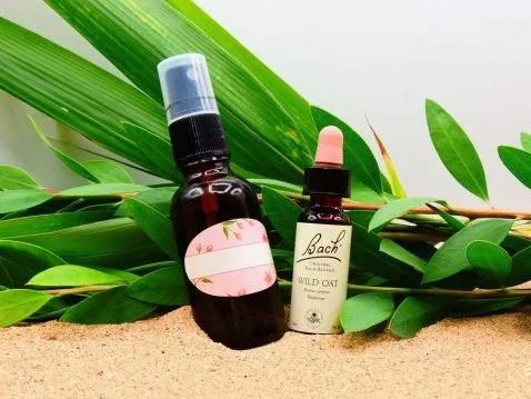 Elixir floral fleur de Bach Wild Oat