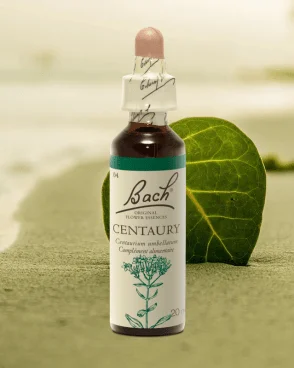 Fleur de Bach Original N°4 Centaury