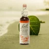 Fleur de Bach Original Cherry Plum Prunier Myrobolan