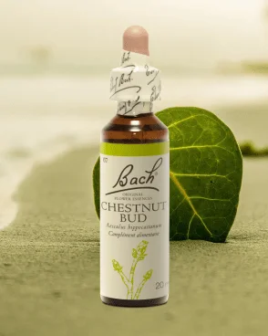 Fleur de Bach Original N°7 Chestnut Bud