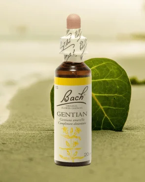 Fleur de Bach Original N°12 Gentian