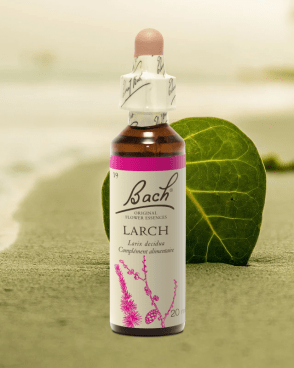 Fleur de Bach Original N°19 Larch
