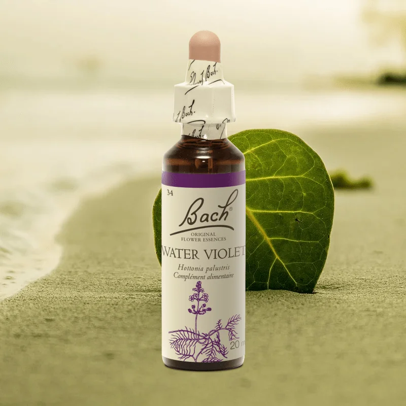 Fleur de Bach Original Water Violet Violette d'Eau